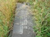 image of grave number 354588